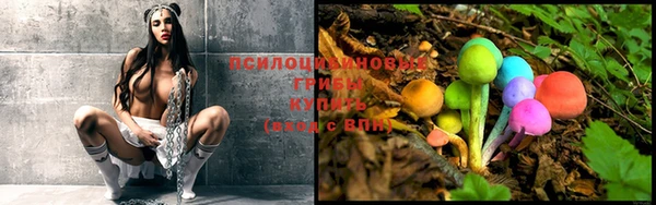бутират Верхний Тагил