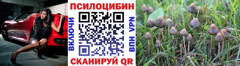 Псилоцибиновые грибы Magic Shrooms  магазин    Зуевка 