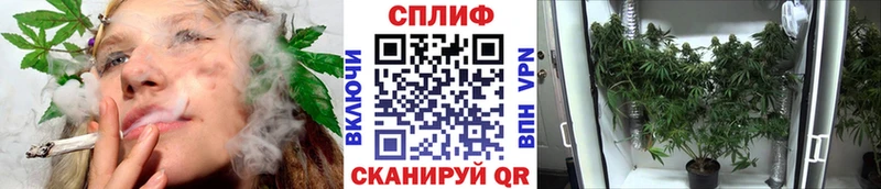 Бошки марихуана AK-47  Зуевка 